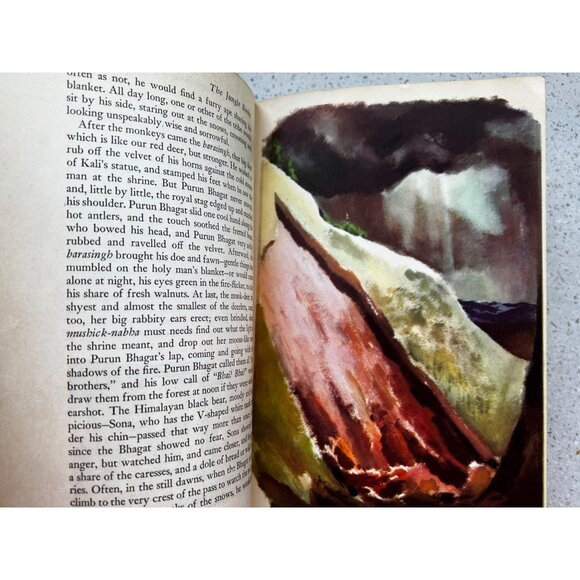 The Jungle Books Rudysrd Kipling Volume 2 1948 Doubleday - Picture 4 of 16